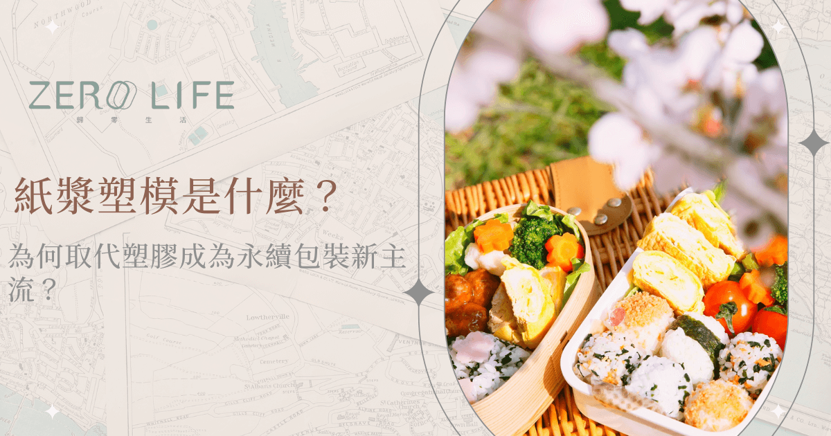 紙漿塑模餐盒盛裝野餐食物，環保永續包裝應用